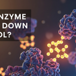 What Enzyme Breaks Down Alcohol