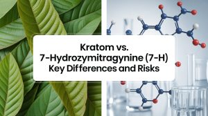 Kratom vs. 7-Hydroxymitragynine (7-OH) Key Differences and Risks