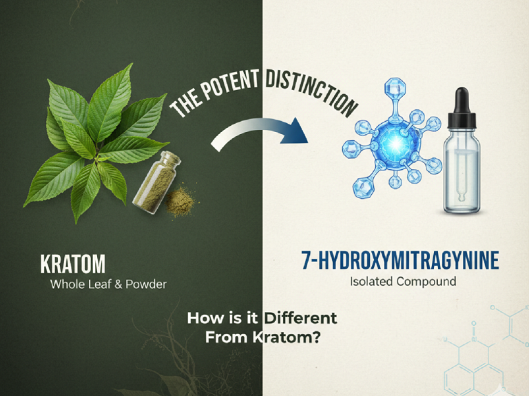 The Potent Distinction How is 7-hydroxymitragynine Different From Kratom