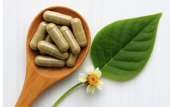 Ibogaine Therapy