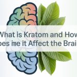 What is Kratom and How Does It Affect the Brain