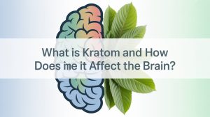 What is Kratom and How Does It Affect the Brain