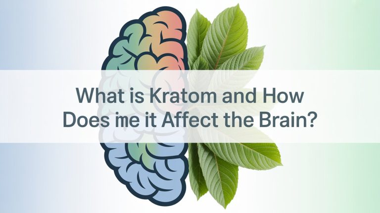 What is Kratom and How Does It Affect the Brain