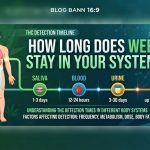 How Long Does Weed Stay in Your System