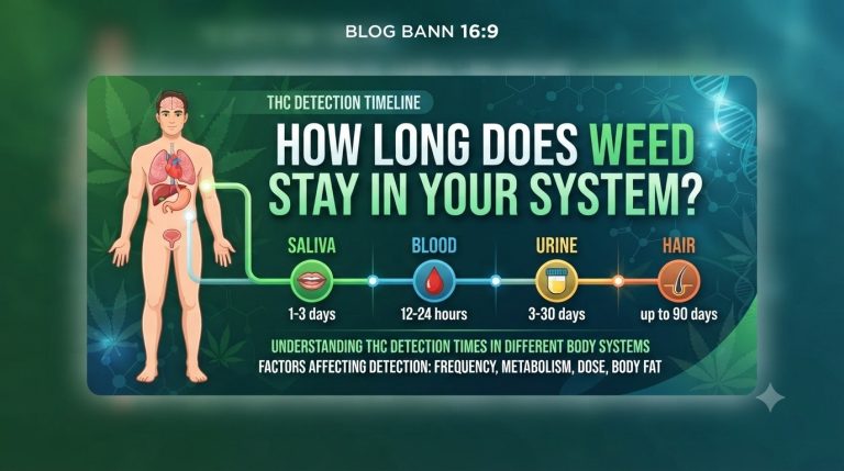 How Long Does Weed Stay in Your System